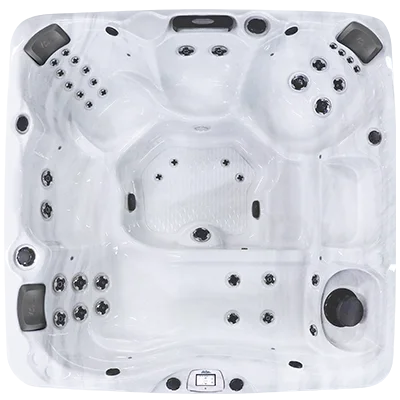 Avalon-X EC-840LX hot tubs for sale in Sanford