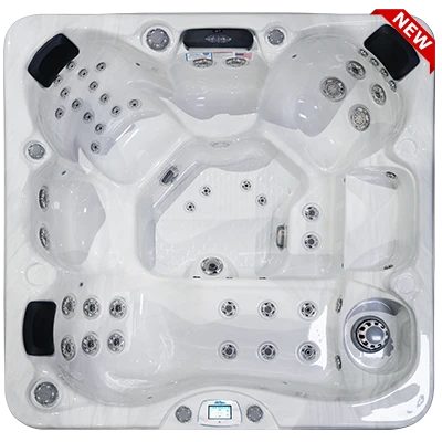 Avalon-X EC-849LX hot tubs for sale in Sanford